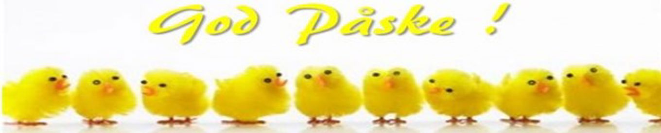 en gruppe gule ender