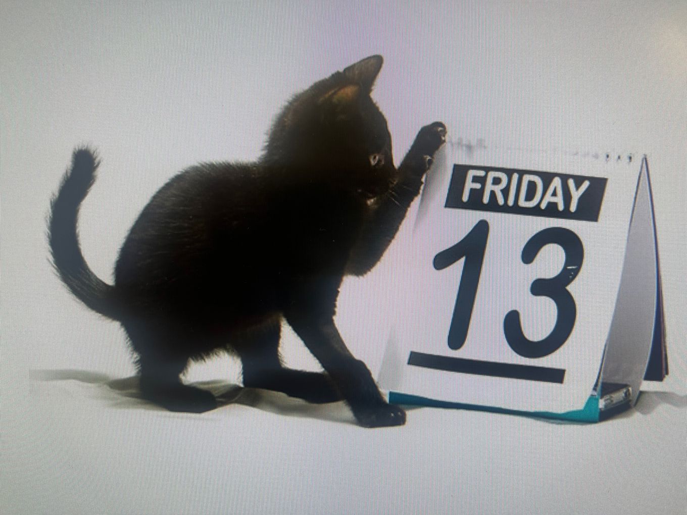 en katt som ligger på en seng